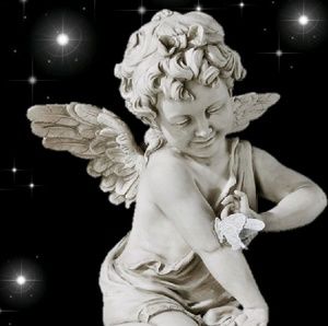 Meet your Posher, Elva